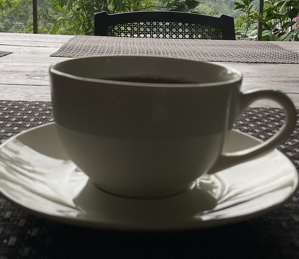 Morning Tea